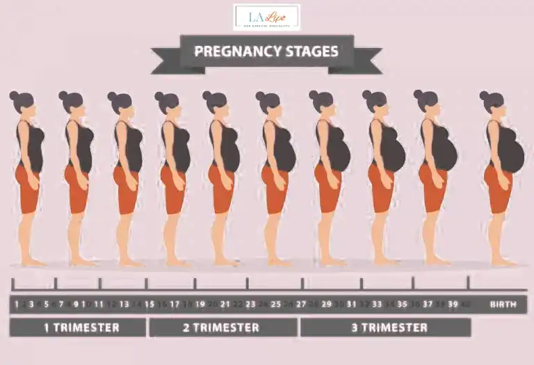 First Trimester (Weeks 1–12): Early Changes You Might Not Notice North Kensington